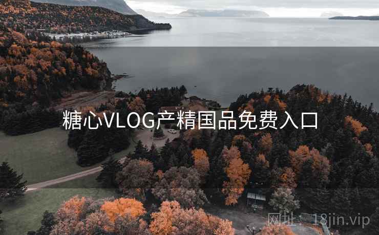 糖心VLOG产精国品免费入口 糖心VLOG产精国品免费入口
